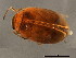  ( - BIOUG00669-C09)  @14 [ ] CreativeCommons - Attribution (2010) CBG Photography Group Centre for Biodiversity Genomics