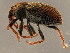  ( - BIOUG00669-E09)  @14 [ ] CreativeCommons - Attribution (2010) CBG Photography Group Centre for Biodiversity Genomics