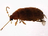  ( - BIOUG00670-C07)  @12 [ ] CreativeCommons - Attribution (2011) CBG Photography Group Centre for Biodiversity Genomics