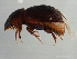  ( - BIOUG00670-C08)  @13 [ ] CreativeCommons - Attribution (2011) CBG Photography Group Centre for Biodiversity Genomics