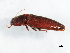  ( - BIOUG00670-D11)  @14 [ ] CreativeCommons - Attribution (2011) CBG Photography Group Centre for Biodiversity Genomics