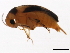  ( - BIOUG00670-E05)  @13 [ ] CreativeCommons - Attribution (2011) CBG Photography Group Centre for Biodiversity Genomics