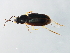  ( - BIOUG00670-H10)  @13 [ ] CreativeCommons - Attribution (2011) CBG Photography Group Centre for Biodiversity Genomics