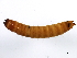 ( - BIOUG00676-C04)  @12 [ ] CreativeCommons - Attribution (2011) CBG Photography Group Centre for Biodiversity Genomics