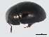  ( - 10PCCOL-0089)  @11 [ ] CreativeCommons - Attribution (2010) CBG Photography Group Centre for Biodiversity Genomics