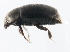  ( - 10PCCOL-0164)  @12 [ ] CreativeCommons - Attribution (2010) CBG Photography Group Centre for Biodiversity Genomics