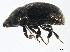  ( - 10PCCOL-0165)  @13 [ ] CreativeCommons - Attribution (2010) CBG Photography Group Centre for Biodiversity Genomics