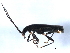  ( - 10PCCOL-0267)  @13 [ ] CreativeCommons - Attribution (2010) CBG Photography Group Centre for Biodiversity Genomics