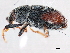  ( - 10PCCOL-0378)  @12 [ ] CreativeCommons - Attribution (2010) CBG Photography Group Centre for Biodiversity Genomics