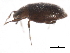  ( - 10PCCOL-0419)  @12 [ ] CreativeCommons - Attribution (2010) CBG Photography Group Centre for Biodiversity Genomics