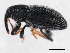  ( - 10PCCOL-0422)  @14 [ ] CreativeCommons - Attribution (2010) CBG Photography Group Centre for Biodiversity Genomics
