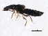  ( - 10PCCOL-0440)  @13 [ ] CreativeCommons - Attribution (2010) CBG Photography Group Centre for Biodiversity Genomics