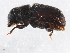  ( - 10PCCOL-0445)  @12 [ ] CreativeCommons - Attribution (2010) CBG Photography Group Centre for Biodiversity Genomics