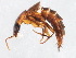  ( - 10PCCOL-0544)  @12 [ ] CreativeCommons - Attribution (2010) CBG Photography Group Centre for Biodiversity Genomics