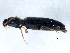  ( - 10PCCOL-0661)  @12 [ ] CreativeCommons - Attribution (2010) CBG Photography Group Centre for Biodiversity Genomics