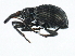  ( - 10PCCOL-0026)  @12 [ ] CreativeCommons - Attribution (2010) CBG Photography Group Centre for Biodiversity Genomics