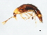  ( - 10PCCOL-0045)  @12 [ ] CreativeCommons - Attribution (2010) CBG Photography Group Centre for Biodiversity Genomics