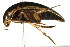  ( - PCPP10-0002)  @13 [ ] CreativeCommons - Attribution (2010) CBG Photography Group Centre for Biodiversity Genomics