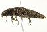  ( - PCPP10-0008)  @12 [ ] CreativeCommons - Attribution (2010) CBG Photography Group Centre for Biodiversity Genomics