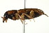  ( - PCPP10-0031)  @12 [ ] CreativeCommons - Attribution (2010) CBG Photography Group Centre for Biodiversity Genomics