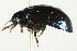  ( - PCPP10-0042)  @13 [ ] CreativeCommons - Attribution (2010) CBG Photography Group Centre for Biodiversity Genomics