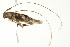  ( - PCPP10-0069)  @12 [ ] CreativeCommons - Attribution (2010) CBG Photography Group Centre for Biodiversity Genomics