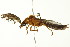  ( - PCPP10-0076)  @12 [ ] CreativeCommons - Attribution (2010) CBG Photography Group Centre for Biodiversity Genomics
