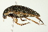  ( - PCPP10-0087)  @14 [ ] CreativeCommons - Attribution (2010) CBG Photography Group Centre for Biodiversity Genomics