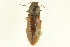  ( - 10PCCOL-0727)  @14 [ ] CreativeCommons - Attribution (2010) CBG Photography Group Centre for Biodiversity Genomics
