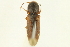  ( - 10PCCOL-0730)  @12 [ ] CreativeCommons - Attribution (2010) CBG Photography Group Centre for Biodiversity Genomics