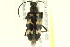  ( - 10PCCOL-0882)  @12 [ ] CreativeCommons - Attribution (2010) CBG Photography Group Centre for Biodiversity Genomics