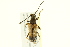  ( - 10PCCOL-0898)  @13 [ ] CreativeCommons - Attribution (2010) CBG Photography Group Centre for Biodiversity Genomics