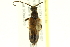  ( - 10PCCOL-0900)  @13 [ ] CreativeCommons - Attribution (2010) CBG Photography Group Centre for Biodiversity Genomics