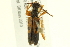  ( - 10PCCOL-0902)  @14 [ ] CreativeCommons - Attribution (2010) CBG Photography Group Centre for Biodiversity Genomics