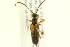  ( - 10PCCOL-0903)  @13 [ ] CreativeCommons - Attribution (2010) CBG Photography Group Centre for Biodiversity Genomics