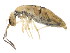  ( - BIOUG02088-A08)  @14 [ ] CreativeCommons - Attribution (2012) CBG Photography Group Centre for Biodiversity Genomics
