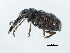  ( - 09BBECO-0405)  @11 [ ] CreativeCommons - Attribution (2010) Unspecified Centre for Biodiversity Genomics