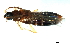  ( - 09BBECO-0292)  @12 [ ] CreativeCommons - Attribution (2010) Unspecified Centre for Biodiversity Genomics