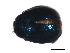  (Plagiodera versicolora - 09BBECO-0356)  @14 [ ] CreativeCommons - Attribution (2010) Unspecified Centre for Biodiversity Genomics
