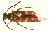  ( - 09BBECO-0019)  @13 [ ] CreativeCommons - Attribution (2010) Unspecified Centre for Biodiversity Genomics