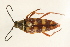  ( - 09BBECO-0020)  @13 [ ] CreativeCommons - Attribution (2010) Unspecified Centre for Biodiversity Genomics