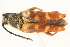  ( - 09BBECO-0021)  @13 [ ] CreativeCommons - Attribution (2010) Unspecified Centre for Biodiversity Genomics