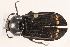  ( - 09BBECO-0047)  @13 [ ] CreativeCommons - Attribution (2010) Unspecified Centre for Biodiversity Genomics