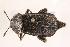  ( - 09BBECO-0050)  @13 [ ] CreativeCommons - Attribution (2010) Unspecified Centre for Biodiversity Genomics