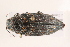  ( - 09BBECO-0064)  @13 [ ] CreativeCommons - Attribution (2010) Unspecified Centre for Biodiversity Genomics