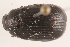  ( - 09BBECO-0094)  @13 [ ] CreativeCommons - Attribution (2010) Unspecified Centre for Biodiversity Genomics
