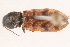  ( - 09BBECO-0150)  @14 [ ] CreativeCommons - Attribution (2010) Unspecified Centre for Biodiversity Genomics