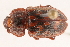  ( - 09BBECO-0170)  @13 [ ] CreativeCommons - Attribution (2010) Unspecified Centre for Biodiversity Genomics
