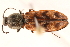  ( - 09BBECO-0220)  @14 [ ] CreativeCommons - Attribution (2010) Unspecified Centre for Biodiversity Genomics
