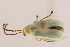  ( - 09BBECO-0223)  @14 [ ] CreativeCommons - Attribution (2010) Unspecified Centre for Biodiversity Genomics